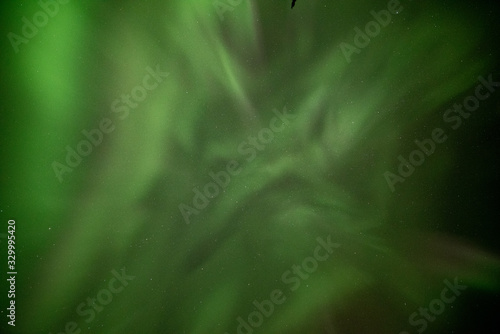 Looking up into Aurora Borealis Northern Lights Yukon Territory Canada with bright green dancing bands across the northern wilderness sky with tourism, travel, tour, road trip views.