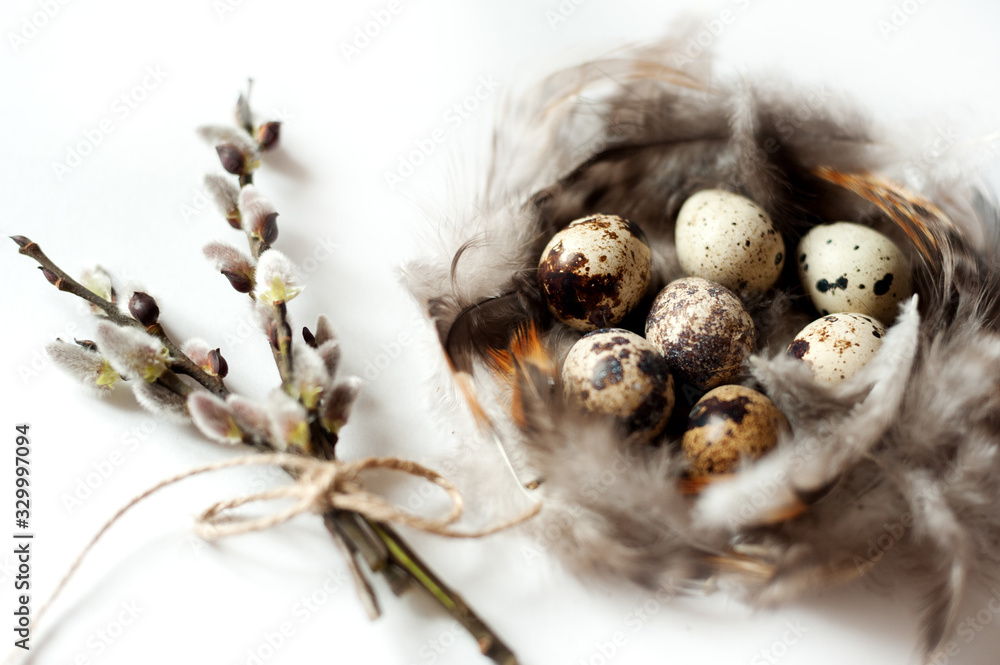 quail eggs and feathers on white background quail eggs and feathers on white background