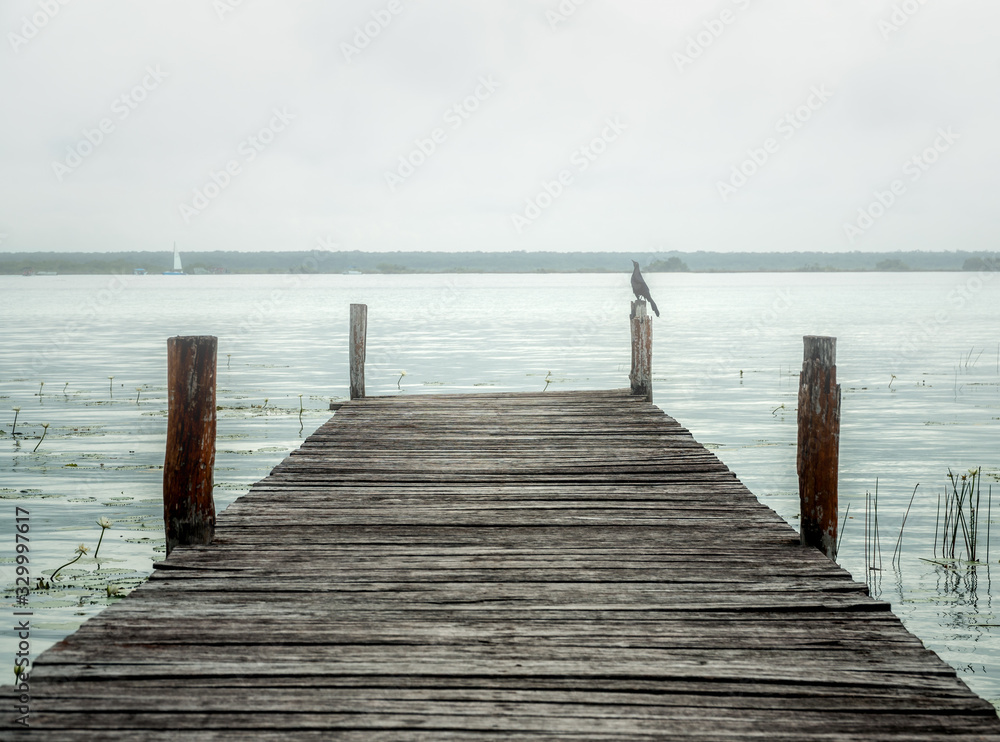 Wooden pier in Bacalar lagoon in Mexico. Misty and foggy weather. Mexican grackle is sitting in the corner. Early morning on seven colors fresh water lake. 