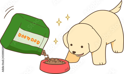 ゴールデンレトリバーの子犬（ご飯をもらう）