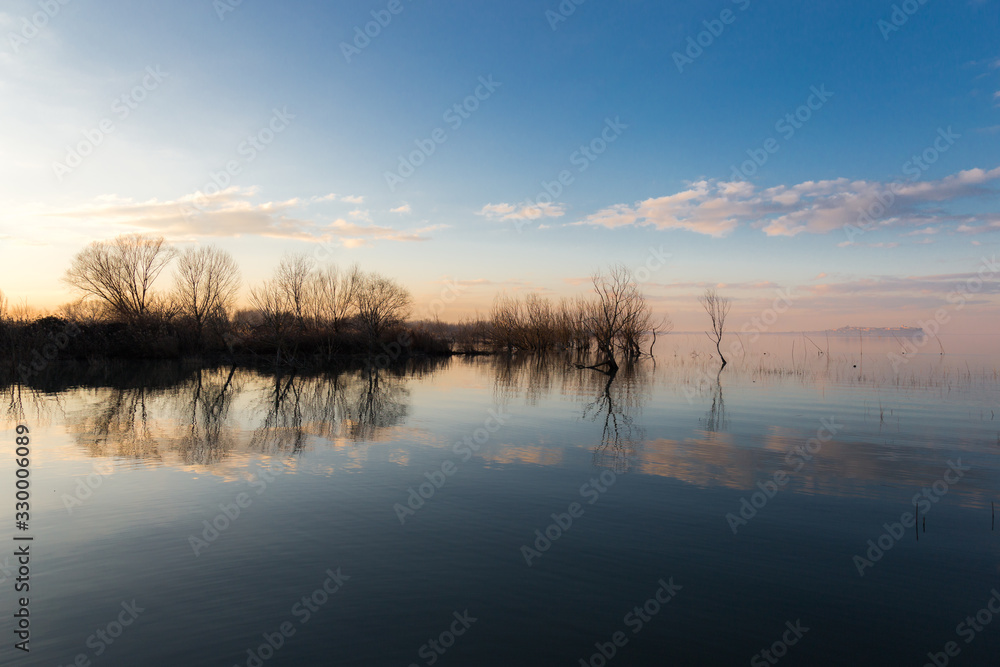 Fototapeta premium A symmetric photo of a lake, with trees and sky reflections on water at golden hour