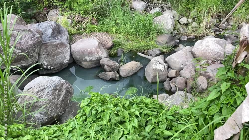 slow motion panning of a pond. luxuriant vegetation, rocks and palm tree leaves slow motion panning of a pond. luxuriant vegetation, rocks and palm tree leaves