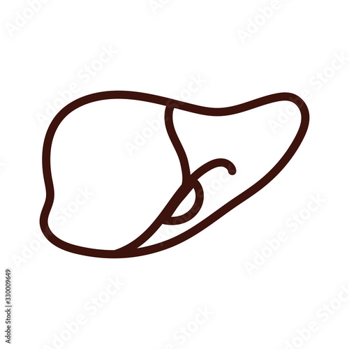 liver human organ line style