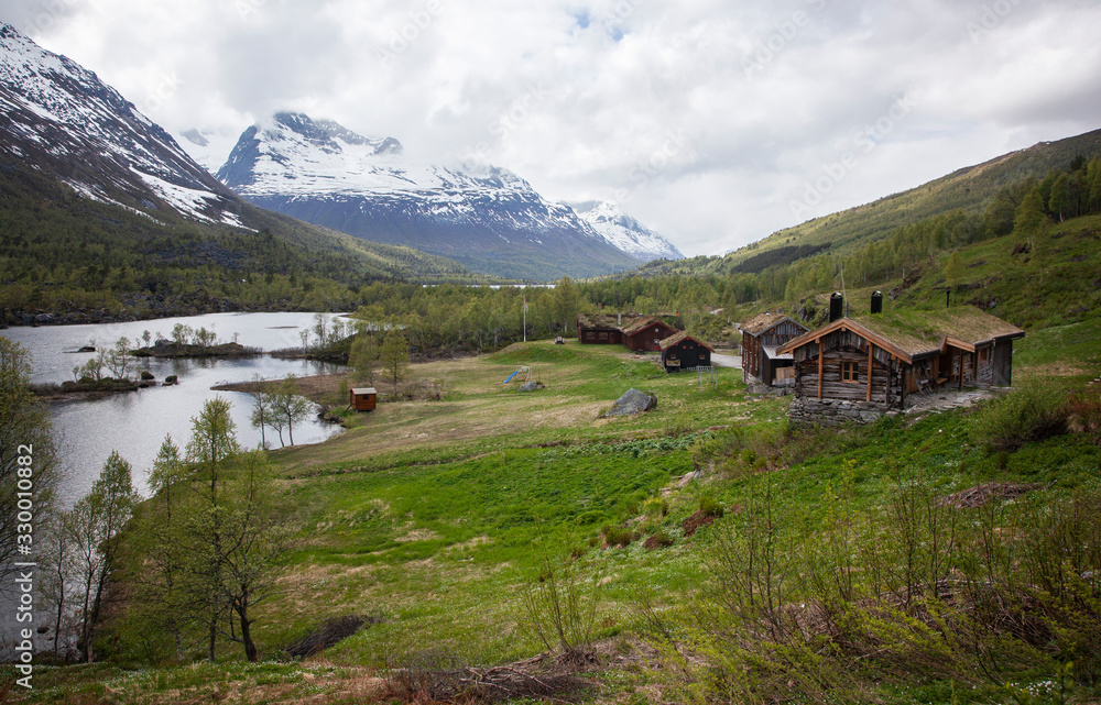 Traditional, grassy roofs of houses in Norway Traditional, grassy roofs of houses in Norway