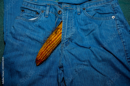 big corn sticks out of mens jeans like mens penis as potency concept photo