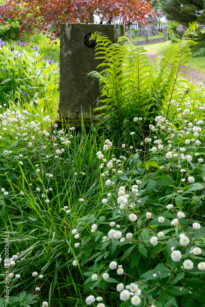 Fototapeta premium Old Cemetery in Torshavn (Faroe Islands)