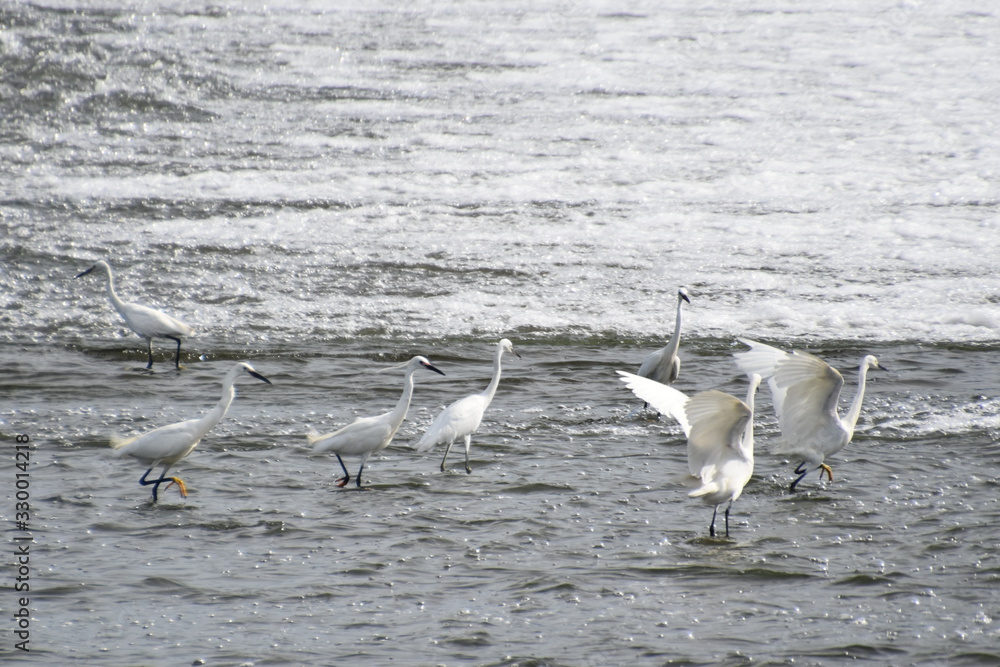 Obraz premium リハーサル