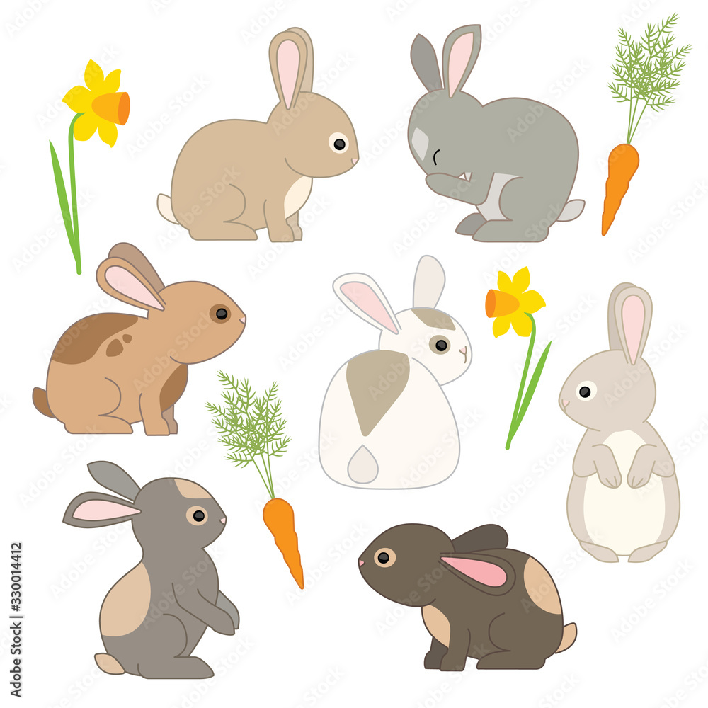 Obraz premium Cute Rabbits and Bunnies