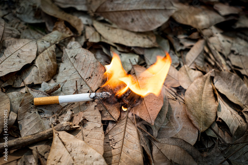 Foto Close up cigarette butt non-smoked carelessly are thrown into dry grass on the g