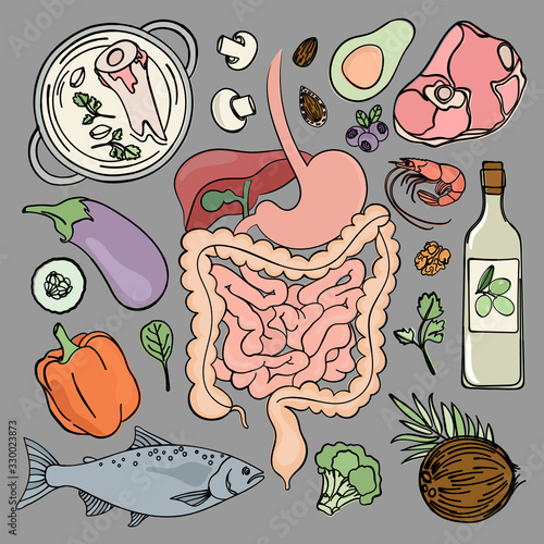 GASTROINTESTINAL HEALTH Medicine Education Human Nutrition Vector Illustration Diet Set