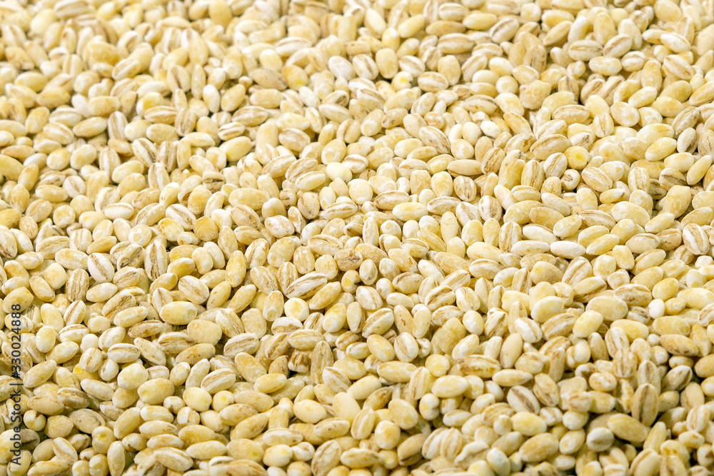 dry pearl barley texture background