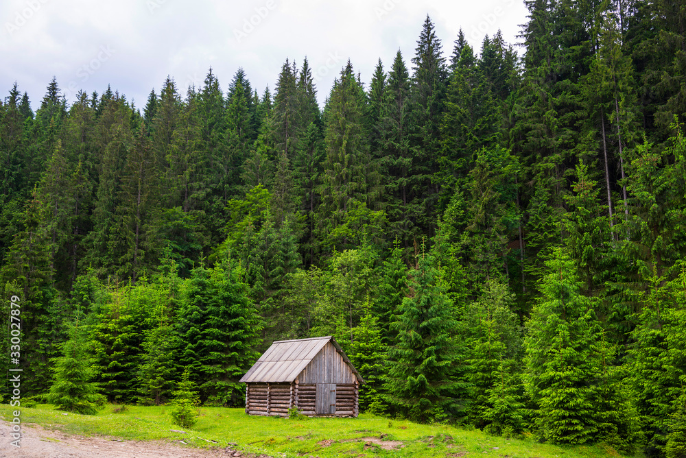 Old wooden houses in the Carpathians