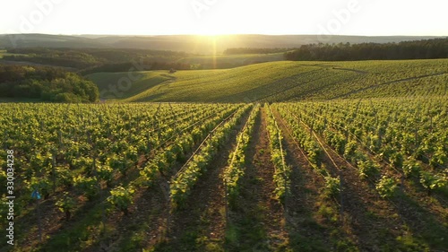 Champagne vineyards in the Cote des Bar area at Les Riceys, village located in the Aube department , Champagne-Ardennes, France, Europe photo
