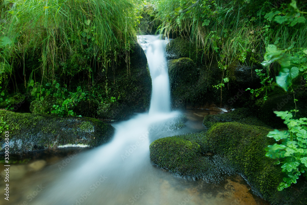 Scenic creek in the green Carpathian mountains, long exposure Scenic creek in the green Carpathian mountains, long exposure