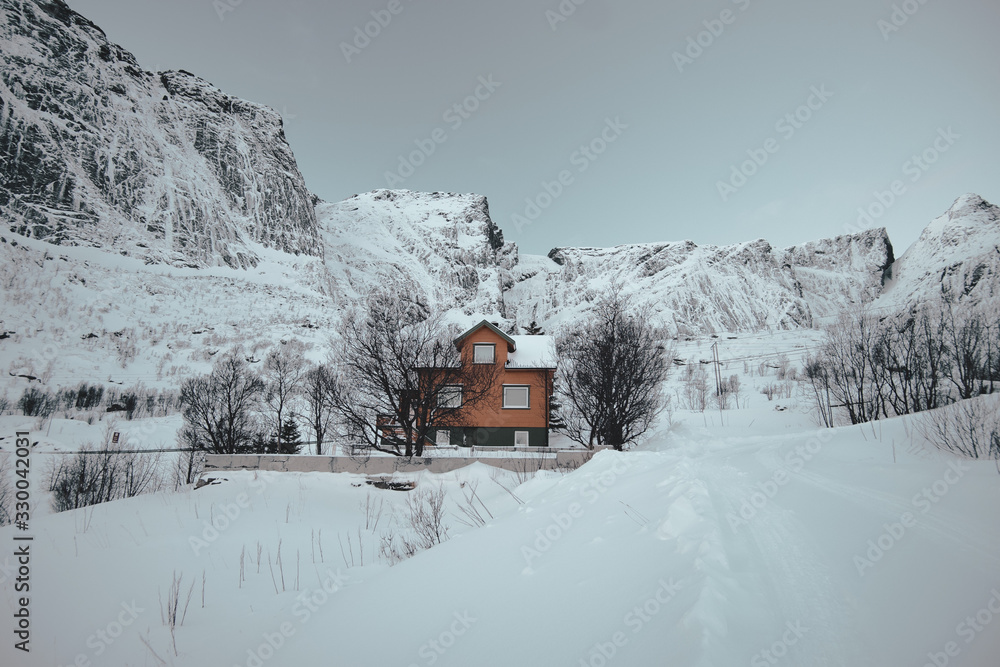 classical Norwegian houses in reine lofoten islands classical Norwegian houses in reine lofoten islands