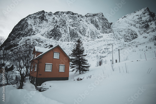 classical Norwegian houses in reine lofoten islands