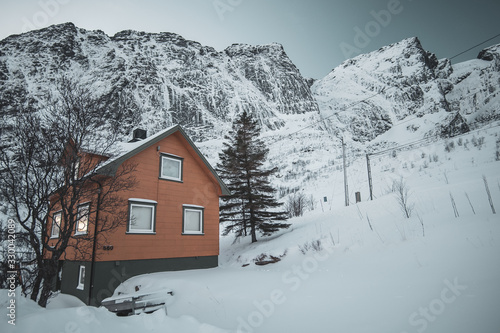 classical Norwegian houses in reine lofoten islands © Metin