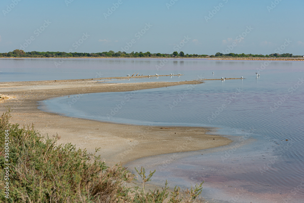 The amazing pink water in Aigues Mortes Salt Marsh, Camargue
