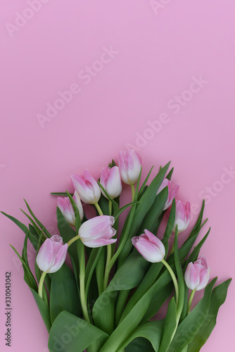  A Bouquet of fresh pink tulips on a pink background. Copy space. Isolated. Flat lay.  © NikonLamp