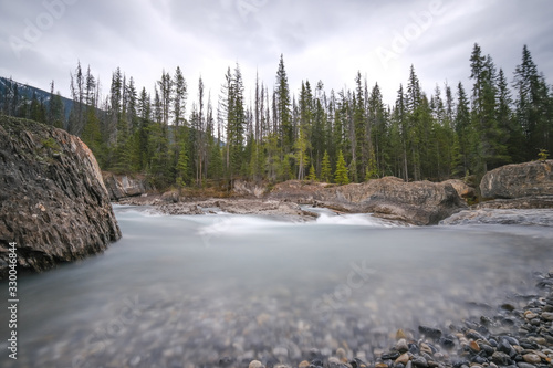 Obraz na płótnie Small waterfall in a forest, Mount Revelstoke National Park bij Revelstoke w salonie