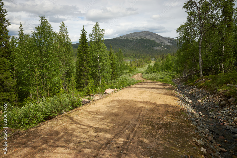 Fototapeta premium Scenic gravel road through the beautiful view of Finnish Lapland forest with a peak of the fell on the background in Ylläs hiking area in Finland.