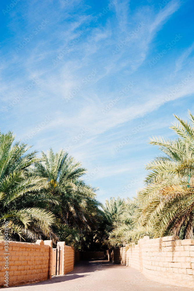 Peaceful walking routes inside the desert oasis. Green place in the middle of a desert. Untouched paradise on the Earth. Nature in the Middle East and Gulf region.