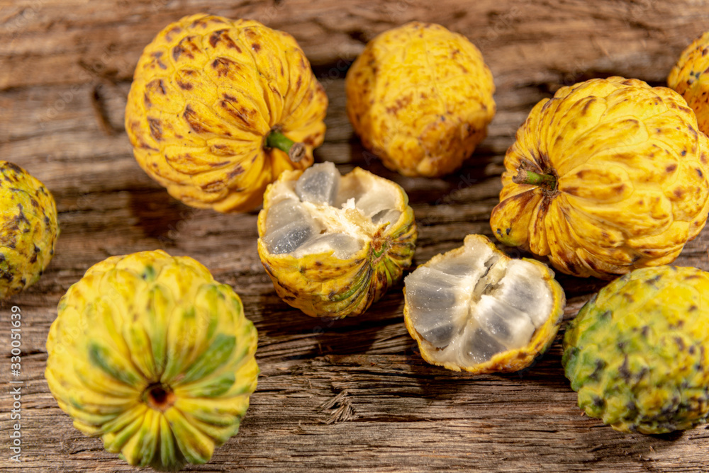 Fruit of the Annona crassiflora tree known as Fruit of the Annona crassiflora tree known as