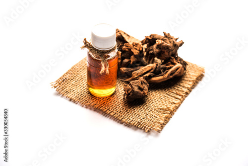 Ayurvedic Chitrak essential Oil in a bottle. It's an extract of plumbago zeylanica. photo