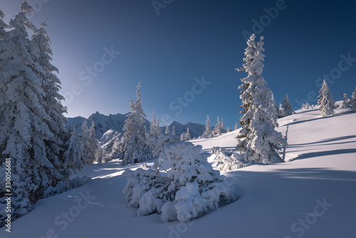 Obraz na płótnie Winter view from Tatra mountain. Snow covered trees w salonie
