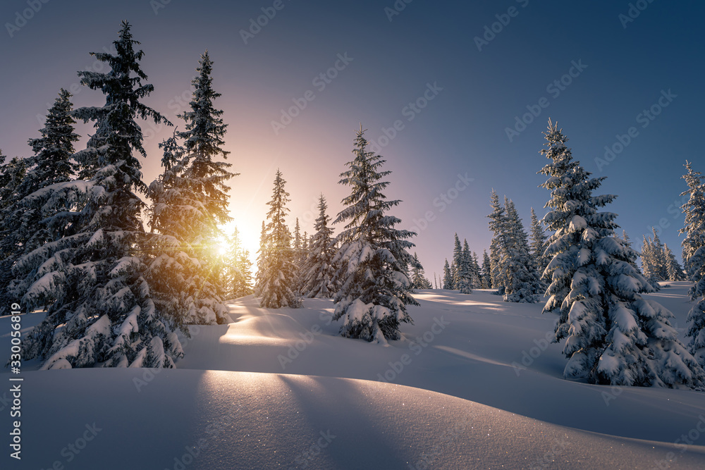 Sun rays from behind the snow covered trees in the mountain