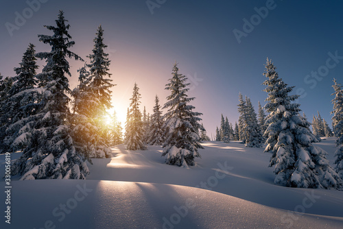 Sun rays from behind the snow covered trees in the mountain © aboutfoto