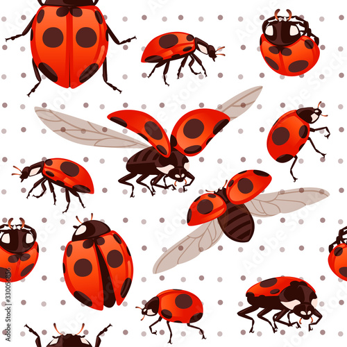 Seamless pattern ladybug with open shell and wings flying beetle cartoon bug design flat vector illustration on white dotted background © An-Maler