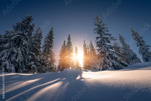 Obraz na płótnie Sun rays from behind the snow covered trees Tatra Mountain w salonie