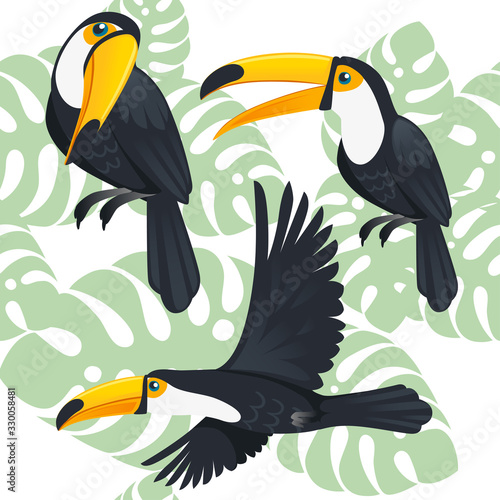 Seamless pattern of mature brazilian toucan bird cartoon animal design flat vector illustration on white background with green leaves