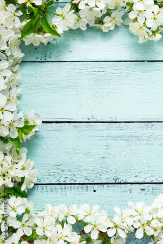 cherry blossom on old blue painted wooden, frame background