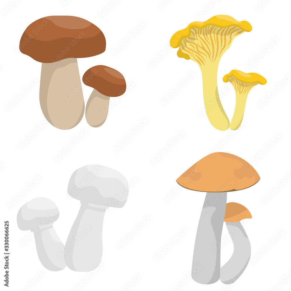 Vector set of mushrooms. Chanterelle, porcini, champignon and aspen mushroom in cartoon style isolated on white background.