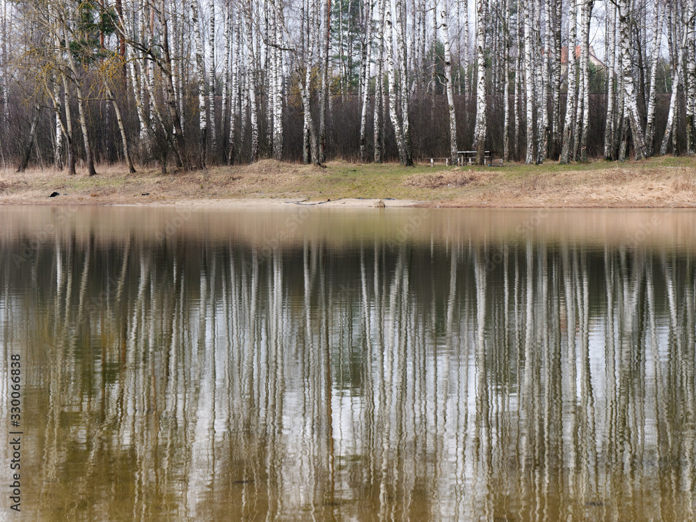 birch grove is reflected in the smooth surface of the lake birch grove is reflected in the smooth surface of the lake