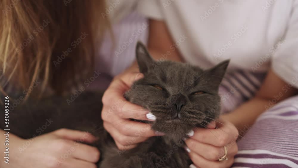 Two young beautiful women stroking their domestic cat in bed in the morning. Close up. Two young beautiful women stroking their domestic cat in bed in the morning. Close up.