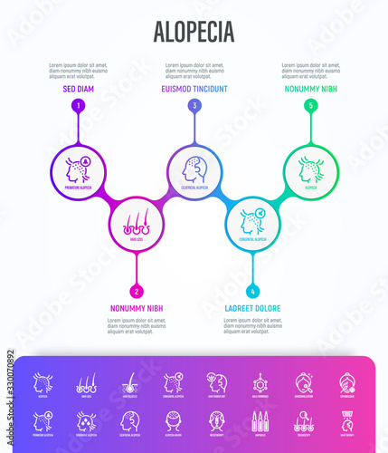 Alopecia and her types infographics with thin line icons. Trichology, hair loss, hair follicle, mesotherapy, ampoules, hair transplant. Vector illustration, template with copy space.