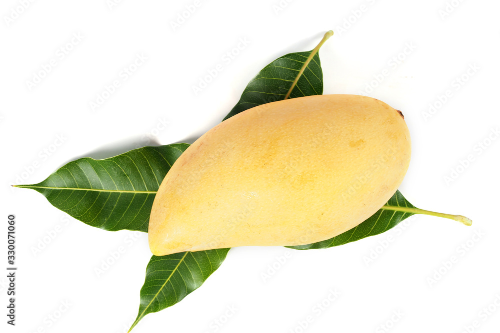 Ripe mango with green leaf on white background.