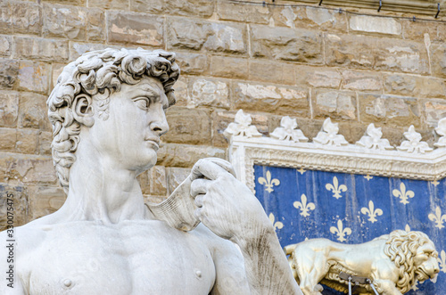 David by Miguel Angel