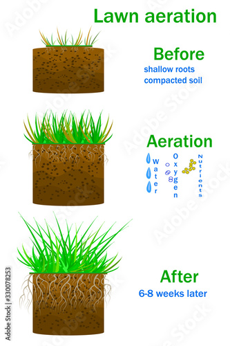 Lawn aeration infographics isolated on white background. Before and after aeration. Enrichment with oxygen, water and nutrients. For article, landscaping, lawn grass care service or instruction.Vector