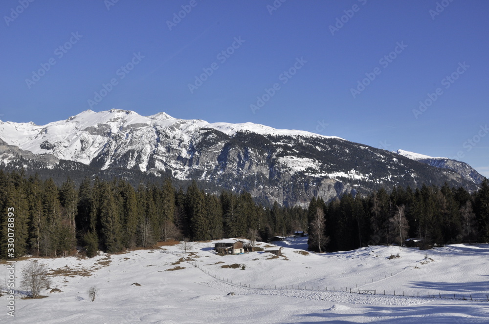 mountains in winter