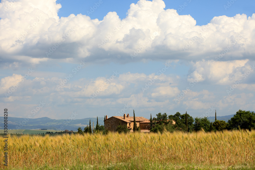 Fototapeta premium Asciano (SI), Italy - June 01, 2016: Typical scenary of Crete Senesi, Asciano, Siena, Tuscany, Italy