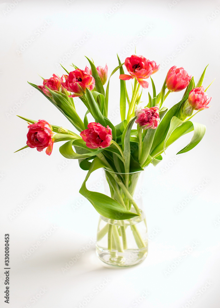 custom made wallpaper toronto digitalBouquet of flowers pink peony tulips in a glass vase with water on white backgroundglass vase with water