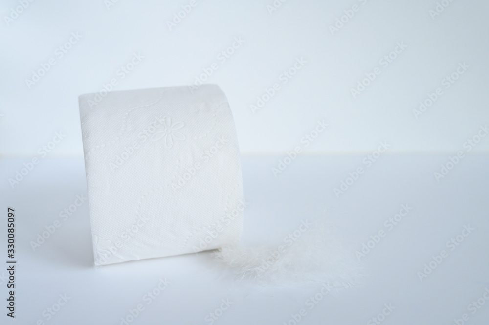 a roll of toilet paper and a white feather on a white background. space for text a roll of toilet paper and a white feather on a white background. space for text