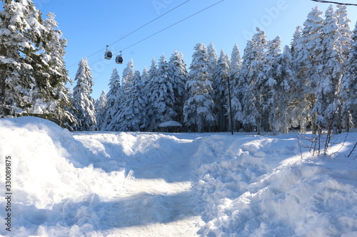 winter mountain landscape with trees and snow