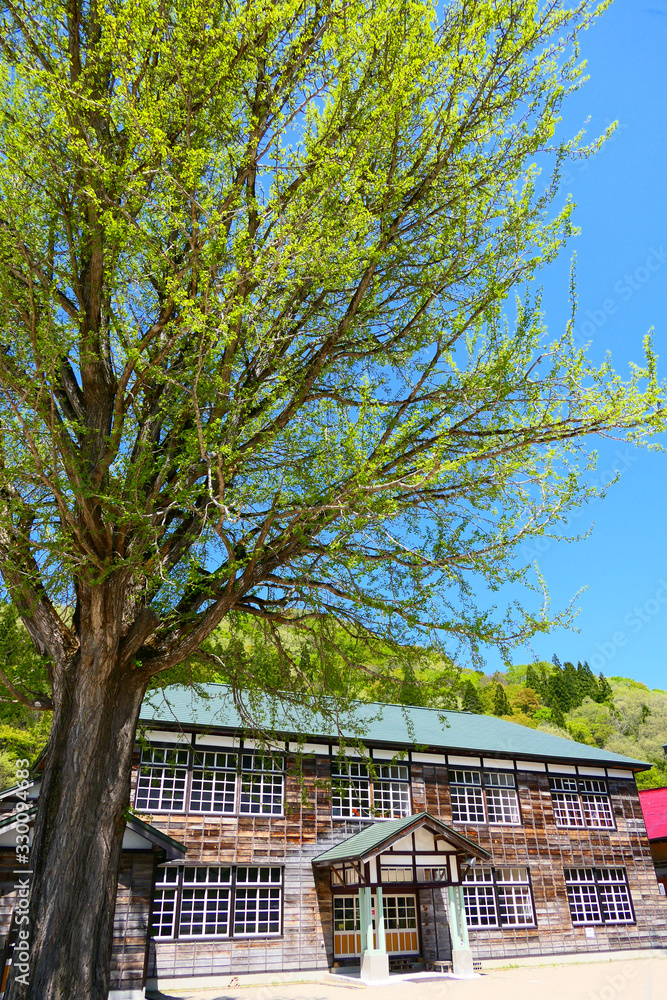 村の小学校。喰丸、昭和、福島、日本。5月中旬。
