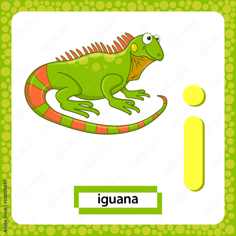 Naklejka premium Letter I lowercase with cute cartoon Green Iguana lizard isolated on white background. Funny colorful flashcard Zoo and animals ABC alphabet. Education card for kids learning English vocabulary.Vector