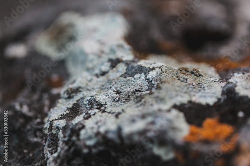 macro shooting of fireplace in nature